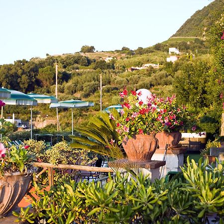 Hotel Poggio Del Sole Forio di Ischia レストラン 写真