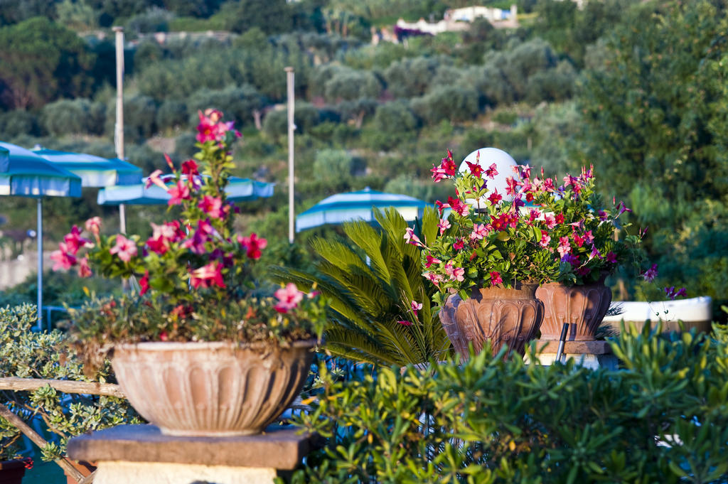 Hotel Poggio Del Sole Forio di Ischia エクステリア 写真