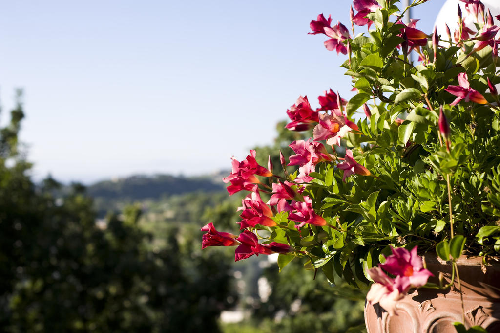 Hotel Poggio Del Sole Forio di Ischia エクステリア 写真