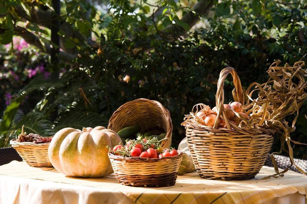 Hotel Poggio Del Sole Forio di Ischia エクステリア 写真