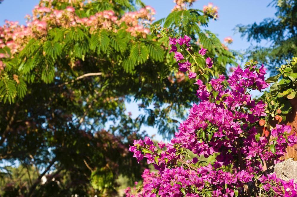 Hotel Poggio Del Sole Forio di Ischia エクステリア 写真
