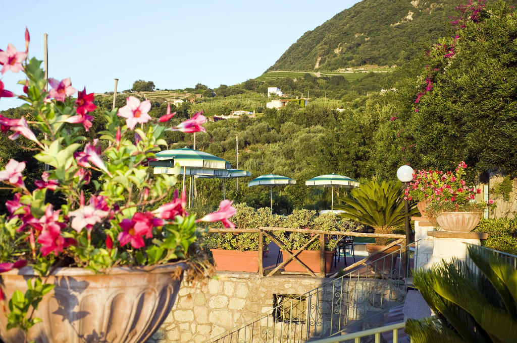 Hotel Poggio Del Sole Forio di Ischia エクステリア 写真